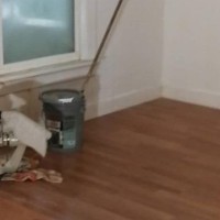 西雅图华大正门 17th Ave NE 新装修单间住房出租