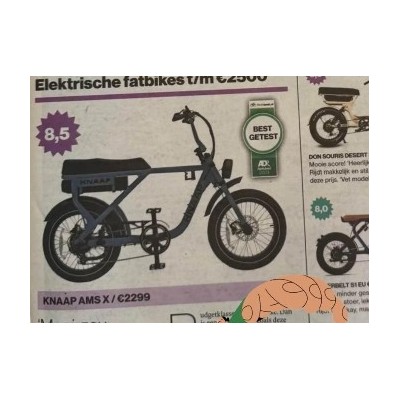 KNAPP V2 双人电动自行车，阿姆斯特丹，零售全新价格 $4000图1